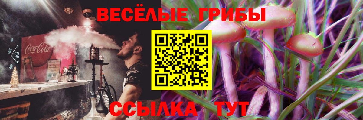 Галлюциногенные грибы прущие грибы  Псилоцибиновые грибы прущие грибы  Вход с VPN  Заводоуковск 